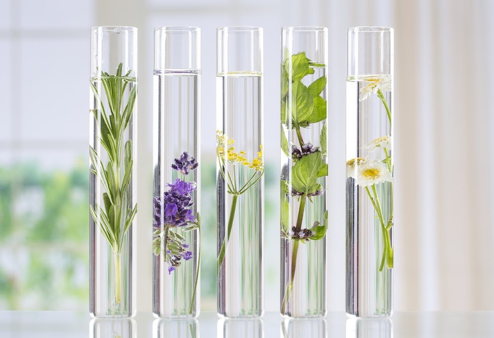 aromaterapia para todos