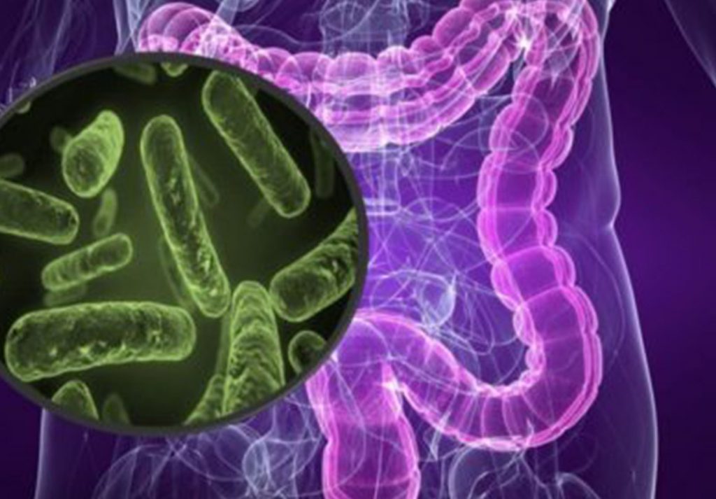estudio de microbiota intestinal